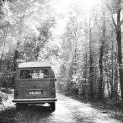 Combi Lyons 2