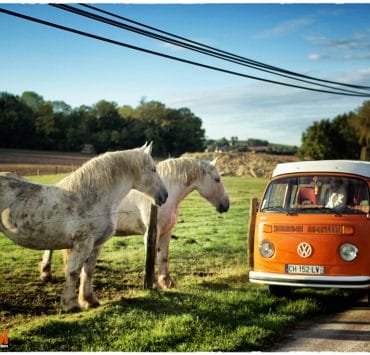 VW Combi chevaux 4
