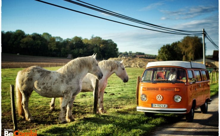 VW Combi chevaux 4