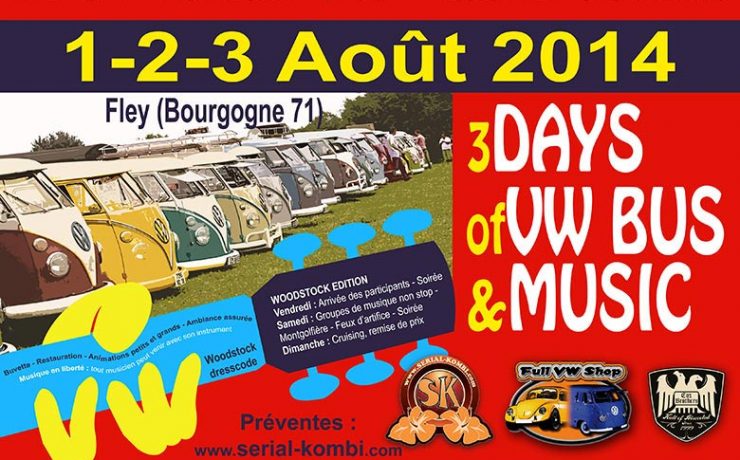 French VW Bus Meeting Fley