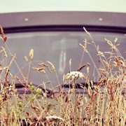 Fillmore Combi T3 Elodie