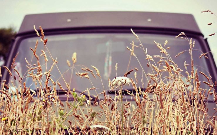 Fillmore Combi T3 Elodie