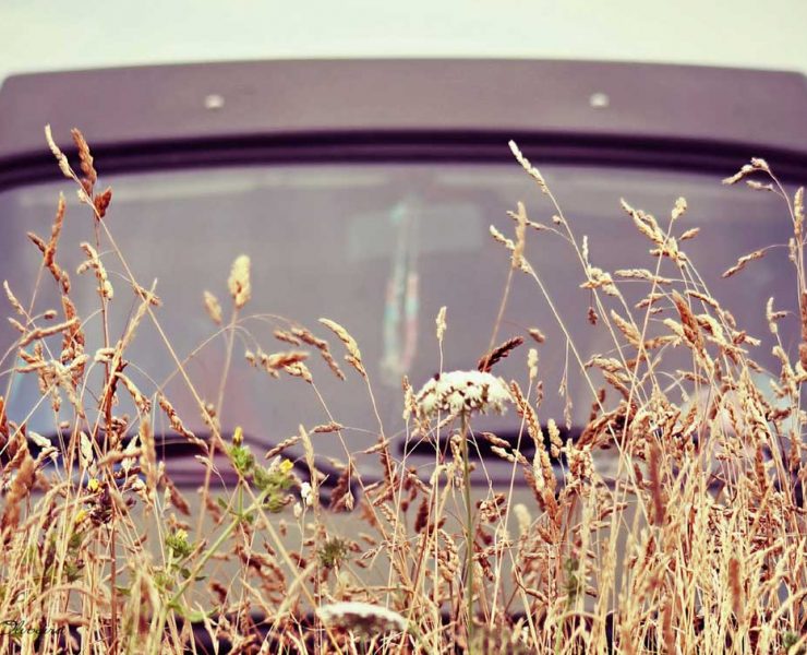 Fillmore Combi T3 Elodie