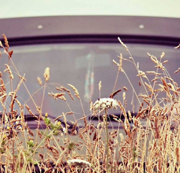 Fillmore Combi T3 Elodie