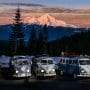 Shasta Couv
