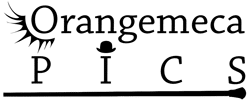 Logo-Orangemeca-pics-250x103
